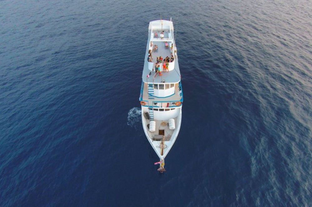 The Top Family Friendly Cruises